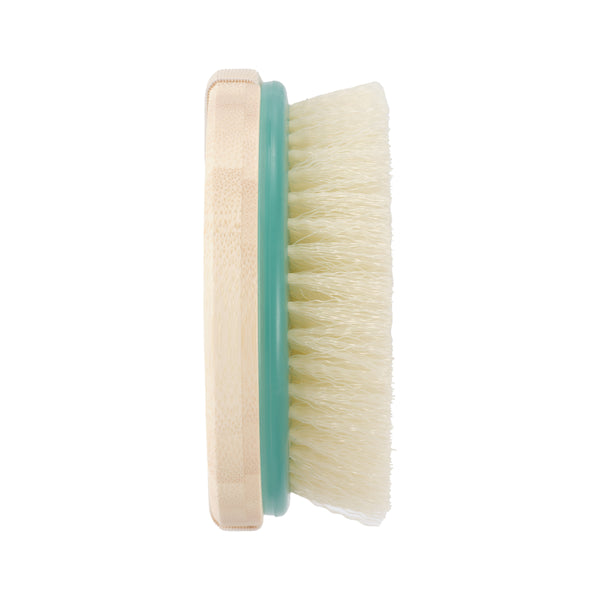 Dry body brush with beige handle and pale bristle head in a teal-edged frame