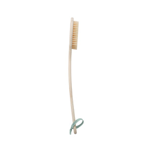 Bamboo bath brush with oval bristle end on a long light wooden handle.