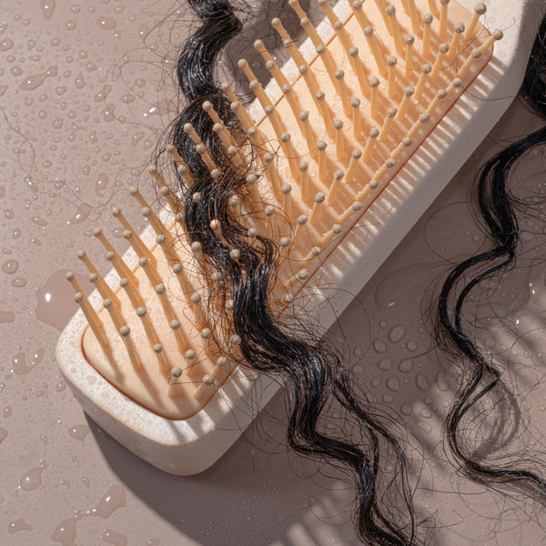 Detangling brush brushing through wet dark curls with visible droplets