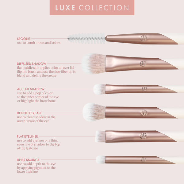 Eye makeup brush kit packaging displaying brush types with rose-gold handle examples