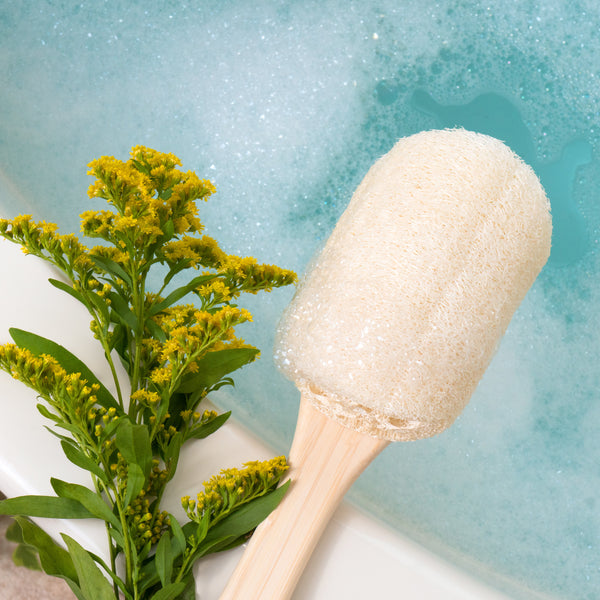 Loofah bath brush with light tan scrub head on a natural wood handle